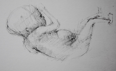 embryo op de rug